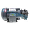 JIA CHENG 80M 3PH Induction motor + CAMEL CML VCM-SF-20C-10 Variable vane pump 20l/min 55kg/cm2