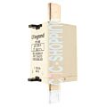 LEGRAND 173 60 gG 200A 500V~ Fusible